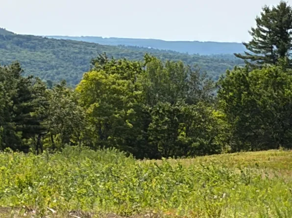 3.15 Acres Belden Woods Road, Palermo, ME 04354