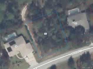 20 Boxleaf Ct, Homosassa, FL 34446