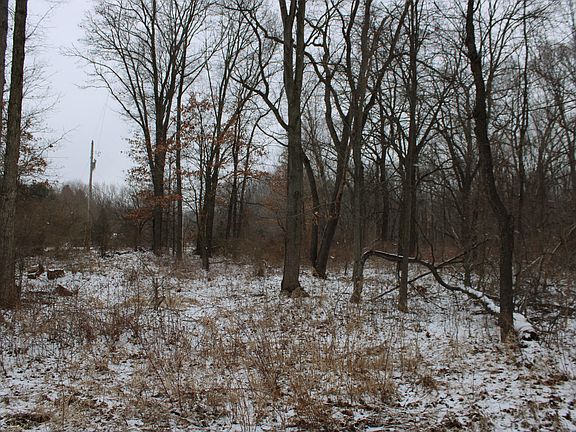 4th image of 7998 Four Mile Rd NE