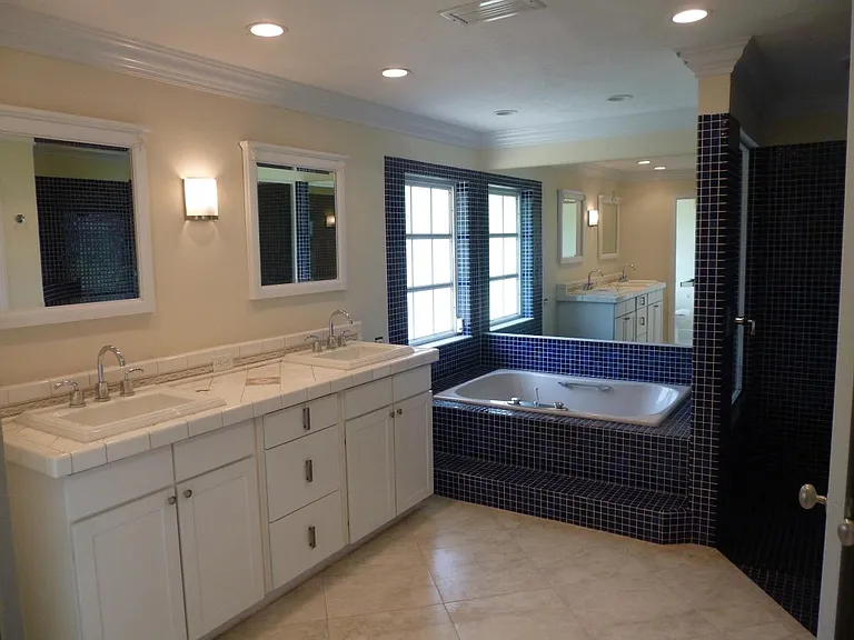 masterbath walk in shower & tea tub