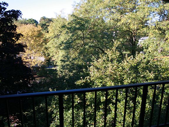 Beautiful view
