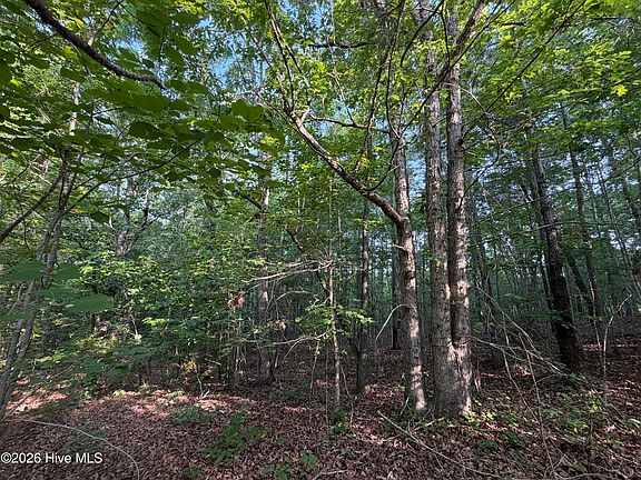 3rd image of 150 Watsons Way Lot 28