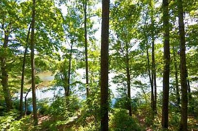 1st image of 2694 Hosanna Dr