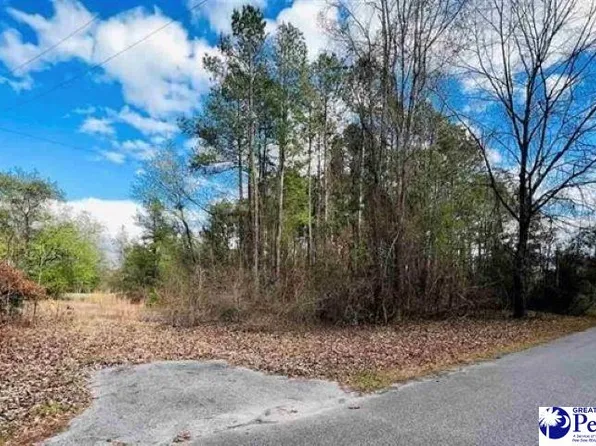 37 Berry St, Latta, SC 29565