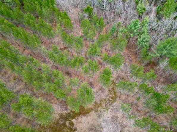 Z Rd, Rapid River, MI 49878