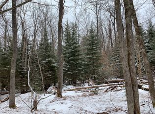 Billy Hamlin Rd, Cold brook, NY 13324