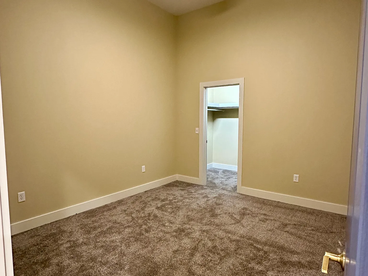 1 bed, 915 sqft, $1,500 — Photo 4