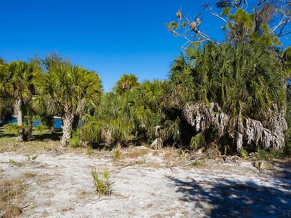 5th image of 14 Sabal Bnd