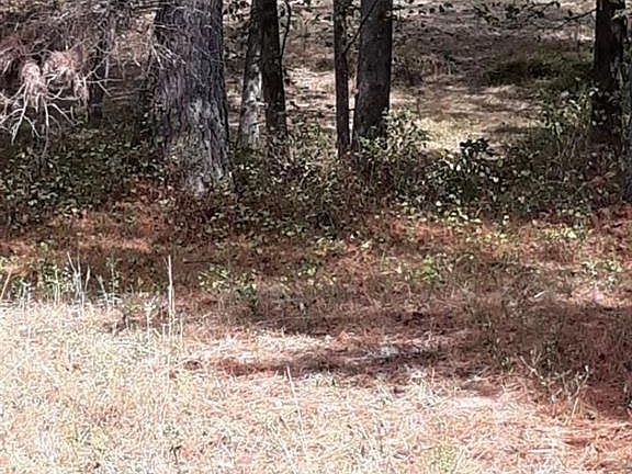 5th image of 1545 Darby Ford Ct