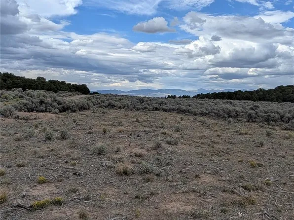 Lot 42 Big Buck Trail LOT 42, San Luis, CO 81152