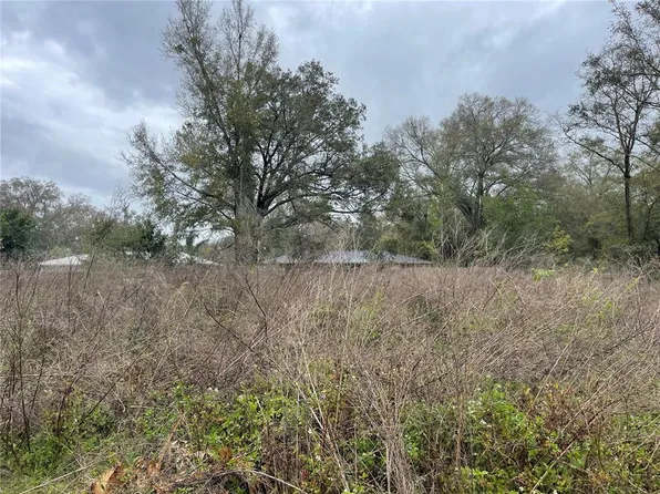 NW 16th St Lot 65, Ocala, FL 34482