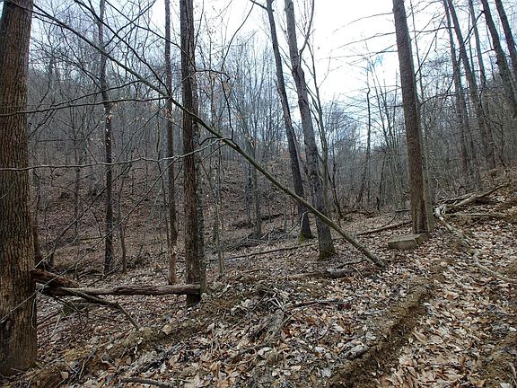 4th image of 0 Bivens Br Lot 0