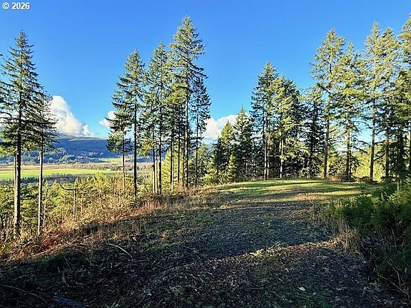 2nd image of Alder Branch Rd
