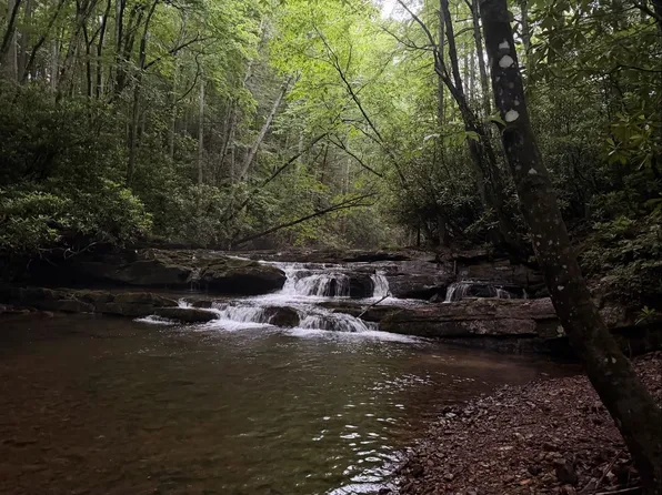 Tdb Cove Creek Rd, Bastian, VA 24314
