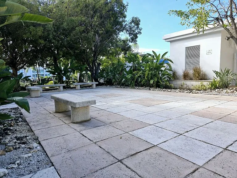 Cond Ocean Club At Seven Seas Carr 9987 Apt DW 101 — Photo 9