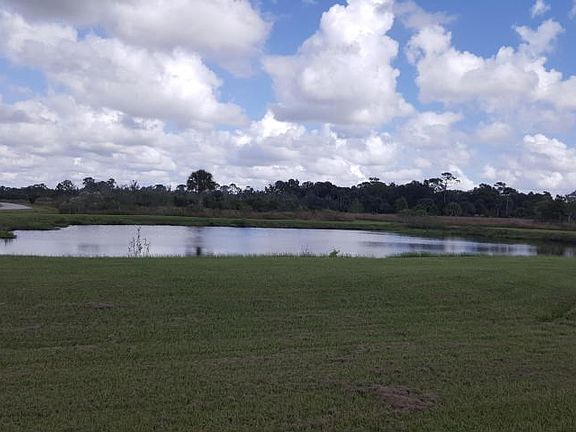 Pond