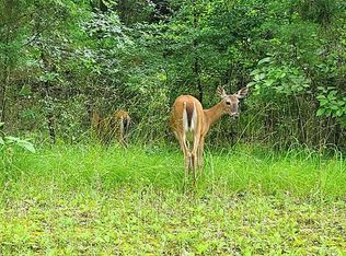 LOT 234 Dogwood Trl, Mabank, TX 75156