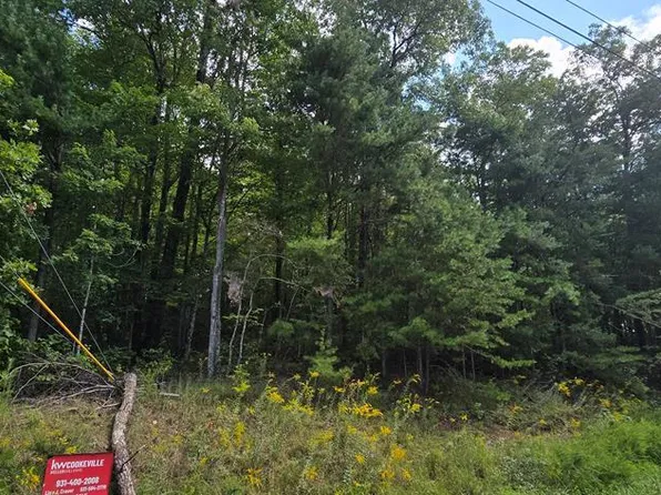 LOT 22 Goodson Trl, Monterey, TN 38574