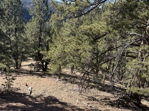 1480 Pikes Peak Drive, Divide, CO 80814