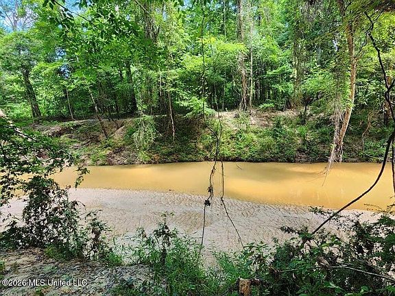 4th image of 5582 White Apple Rd SW