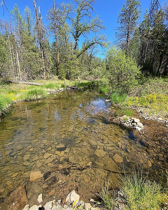 Looking east up stream