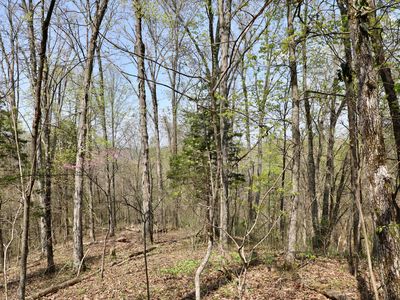 349 Polly Mountain Rd, Madisonville, TN, 37354