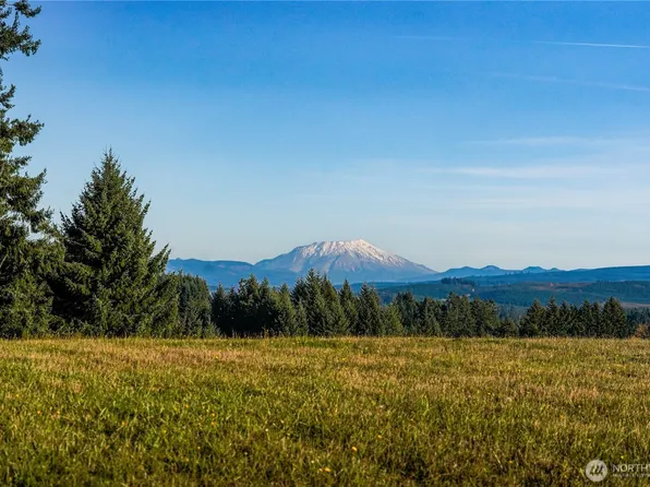 161 Cooper Hill Court, Castle Rock, WA 98611