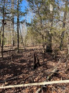 0 Treaty Point Dr #10, Fountain Inn, SC, 29644