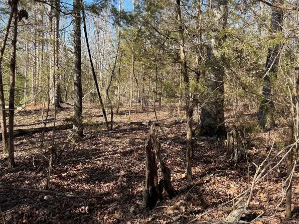 0 Treaty Point Dr #10, Fountain Inn, SC 29644