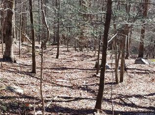 0 Swallow Ln #228, Lake Lure, NC 28746