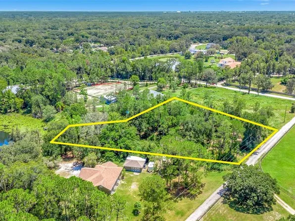Debuel Rd Lot 5, Lutz, FL 33549