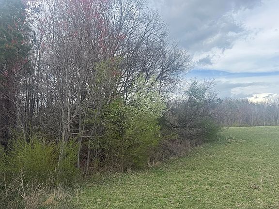 5th image of 0 Alabama Hwy #71