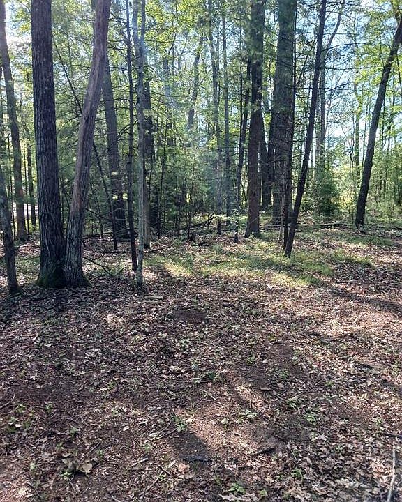 5614 S Whalen Lake Dr, Baldwin, MI 49304 MLS 20221039110 Zillow