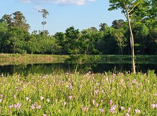 9436 Cooks Lake Rd LOT 2, Lumberton, TX 77657