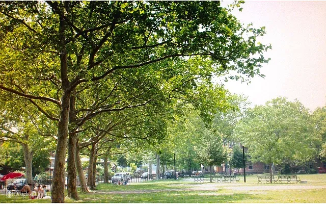 Sold by Douglas Elliman | media 27