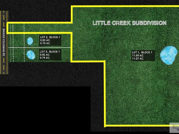 Briggs Coleman Rd, Harlingen, TX 78550