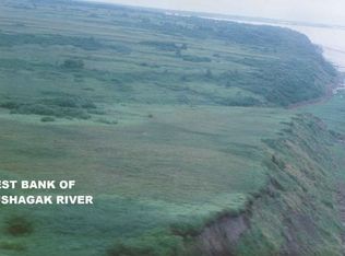 L1 Nushagak Bay, Dillingham, AK 99576