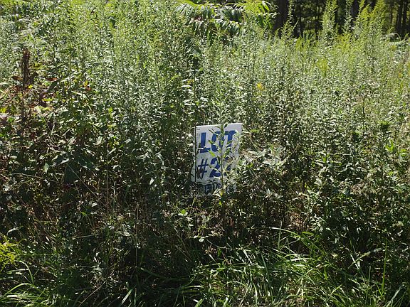 2nd image of 27 Hollywood Lot Dr