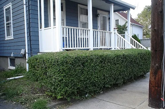 Flint Ave — Photo 1