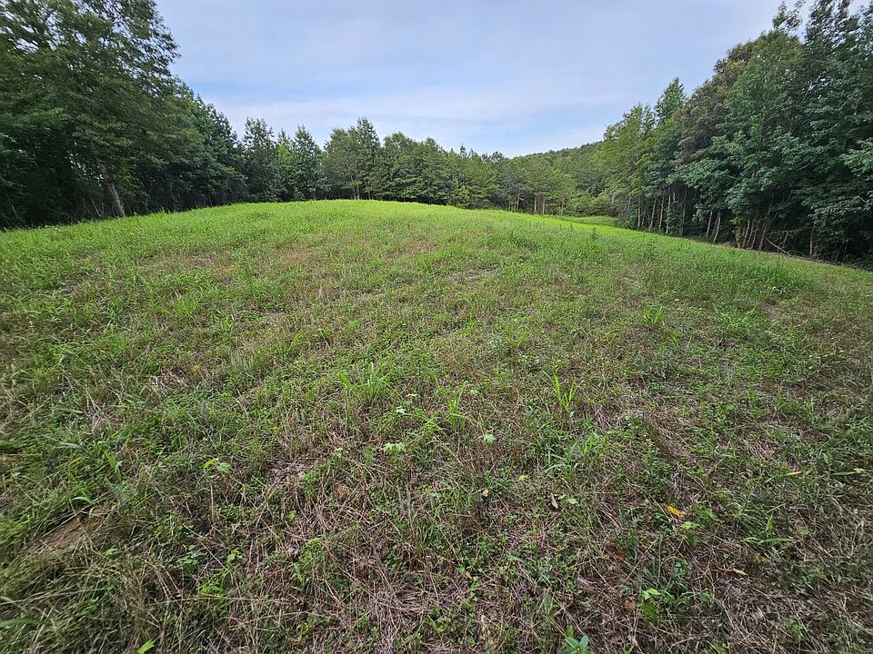 Food plot in eastern portion of the property.