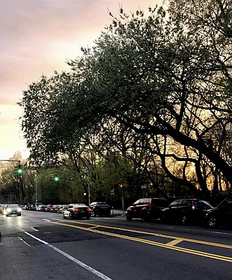 Rented by Zjama Realty Corp | media 20