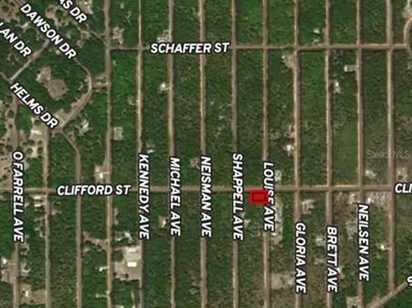 LOT 36 Louise Ave Lot 36, Interlachen, FL 32148