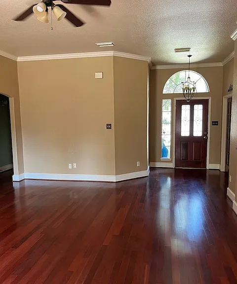 8538 Findlay St — Photo 3