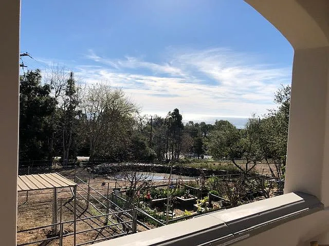 27975 Winding Way — Photo 9