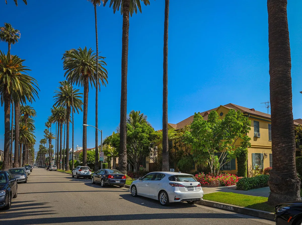 Building Photo - 438 S Palm Dr #D