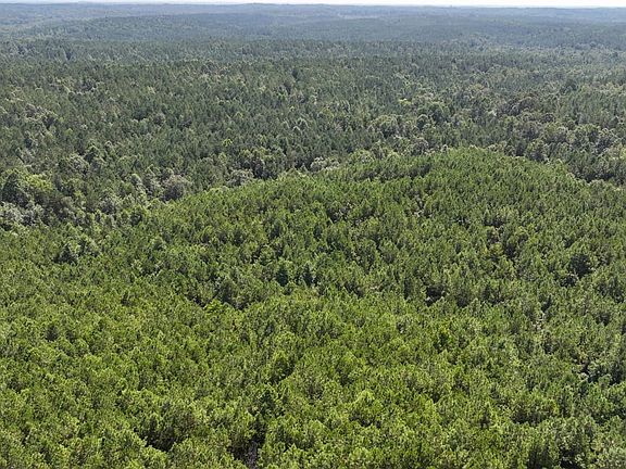 5th image of 0 Scott Senter Rd