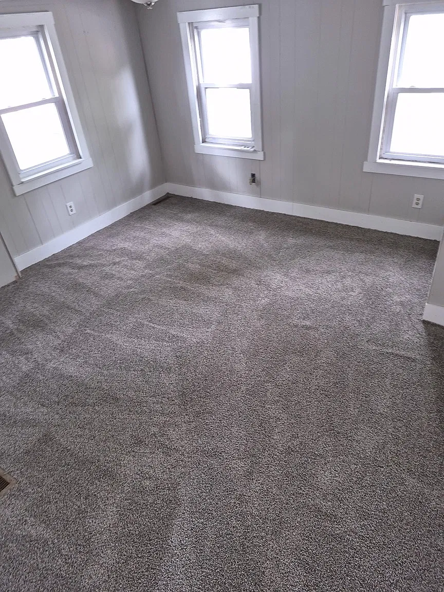 16 Olive Street - 1 — Photo 2