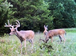 000 E 1880 Rd, Antlers, OK 74523