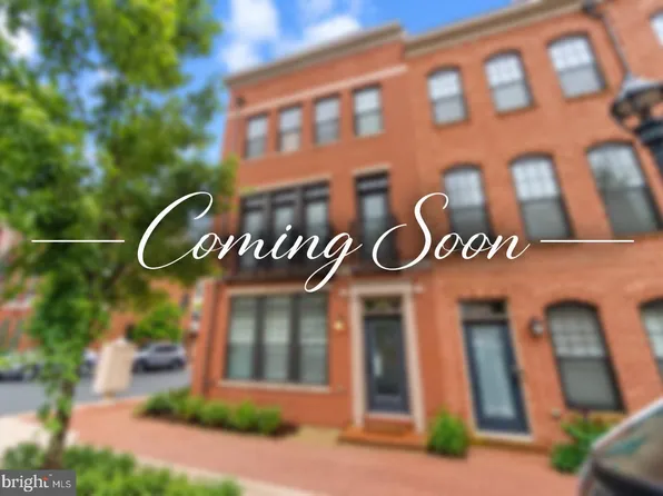 265 Crescent Station Ter SE, Leesburg, VA 20175