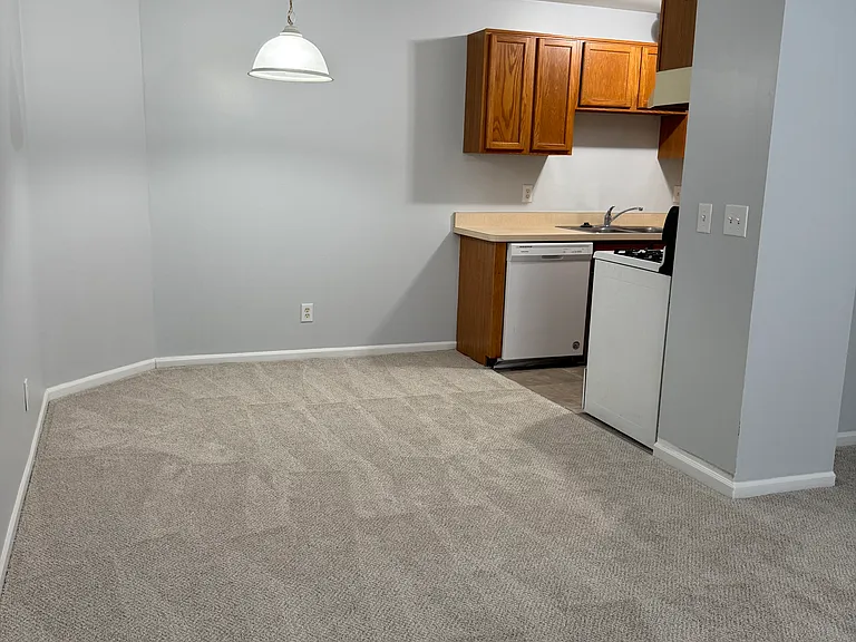 28173 Raleigh Crescent Dr — Photo 4
